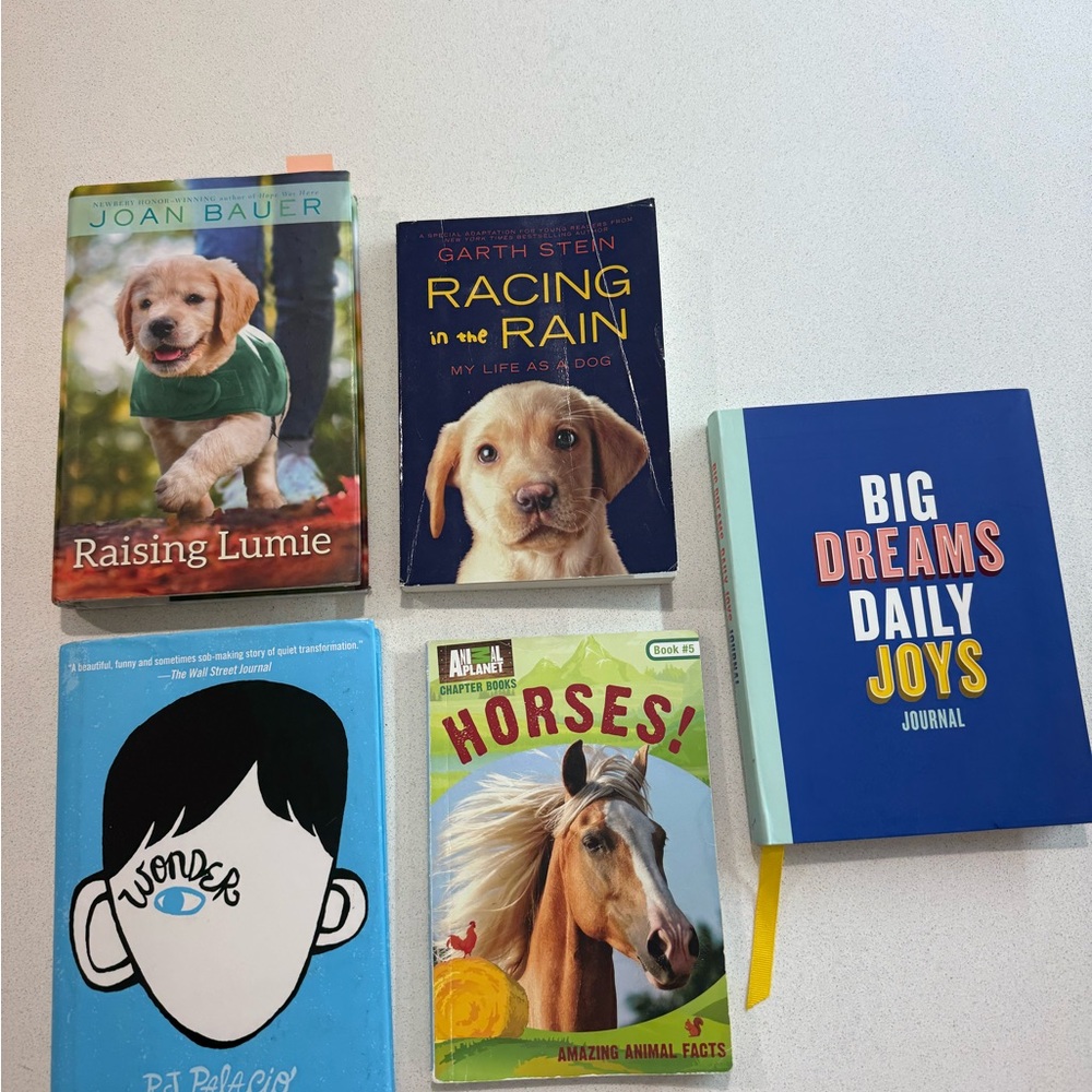 Colorful Book Collection